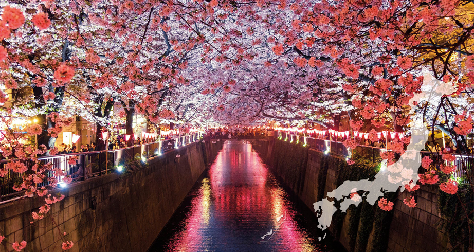 “Shirakawago”